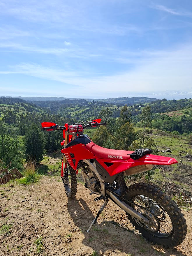 HONDA CRF 250 RX 2025