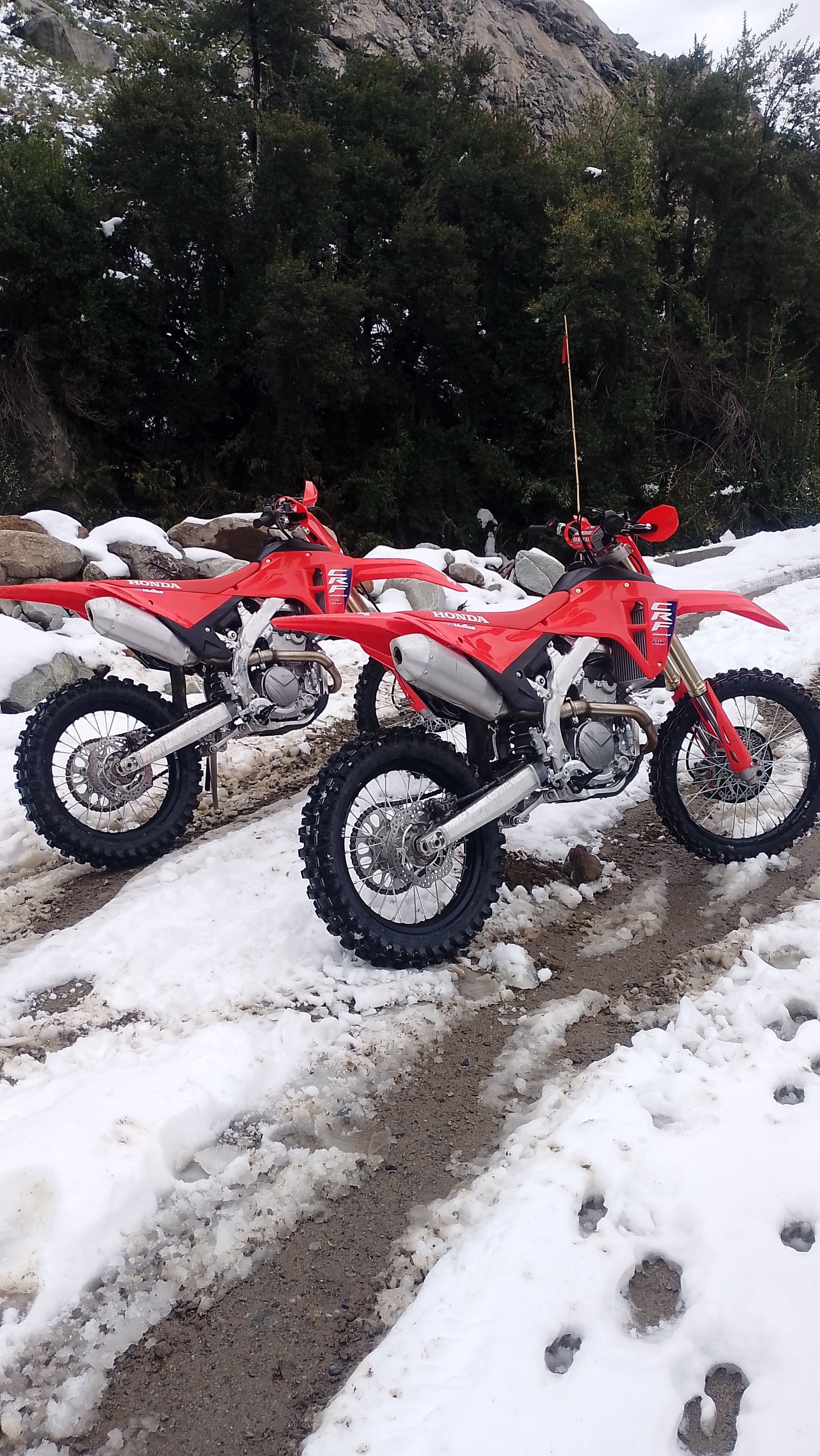 HONDA CRF 250 RX 2025